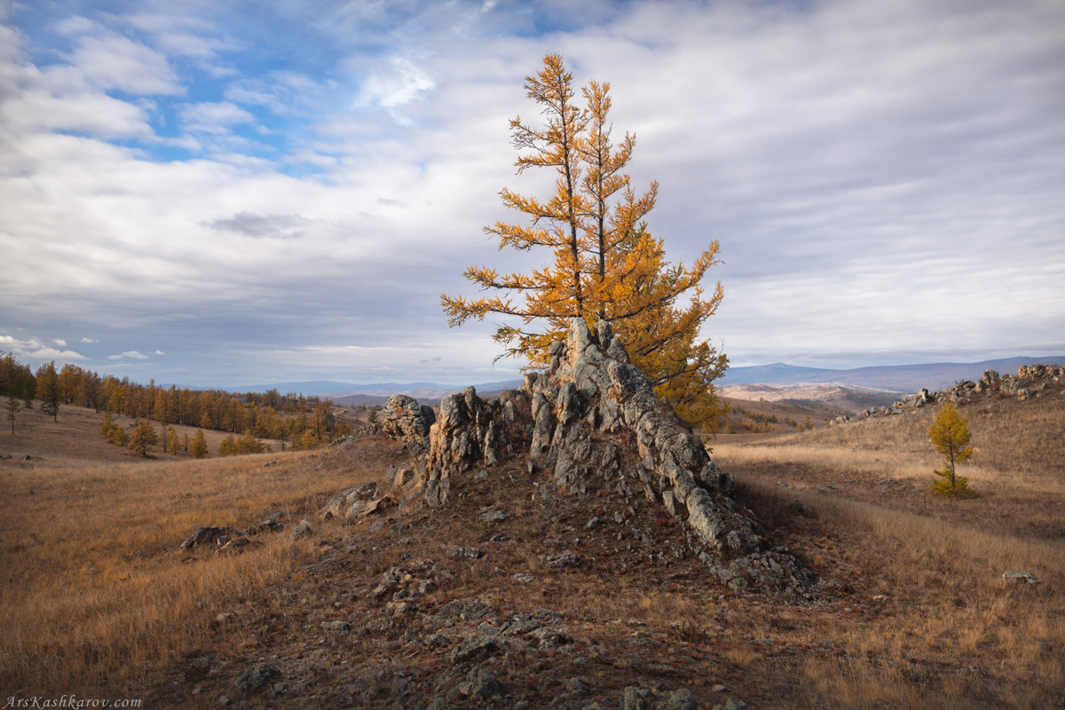 "Тажеранская композиция"