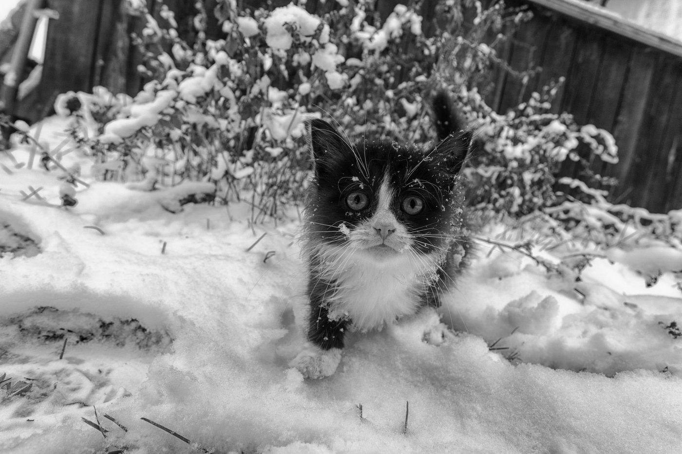 Жизнь вокруг