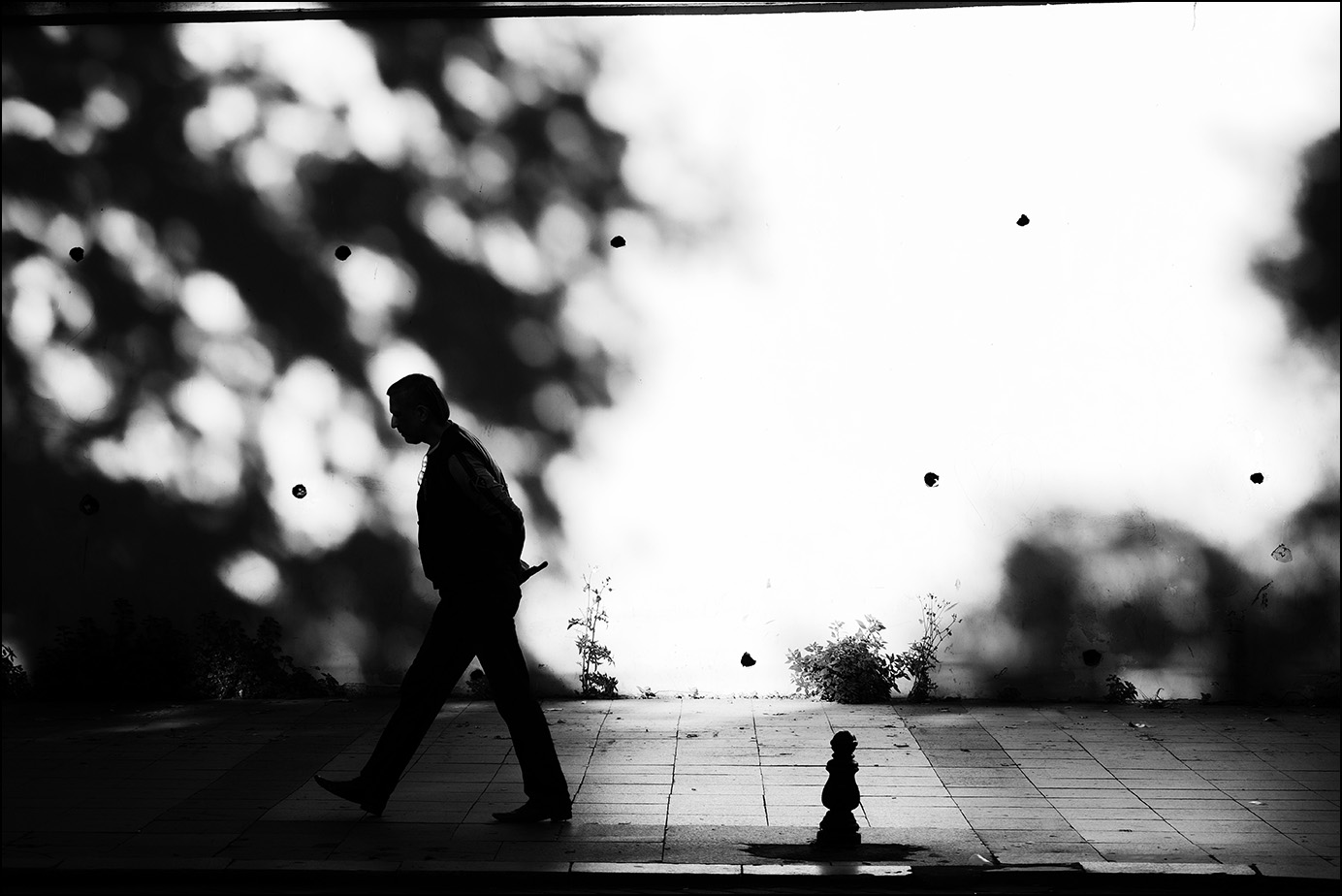 нераннее утро в солнечной сызрани     