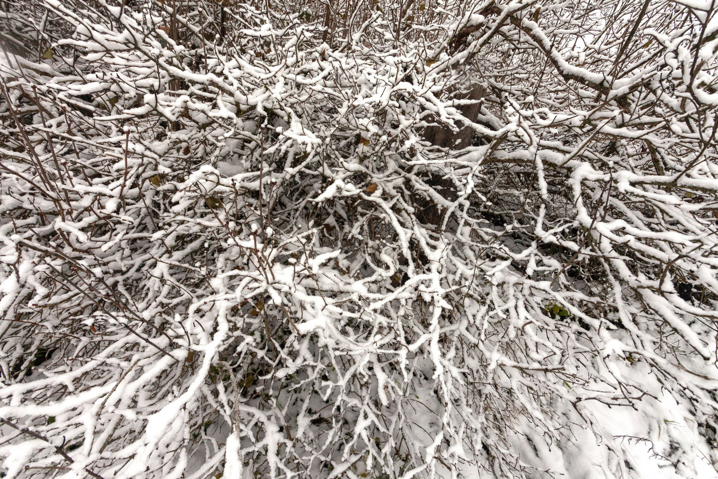 Жизнь вокруг