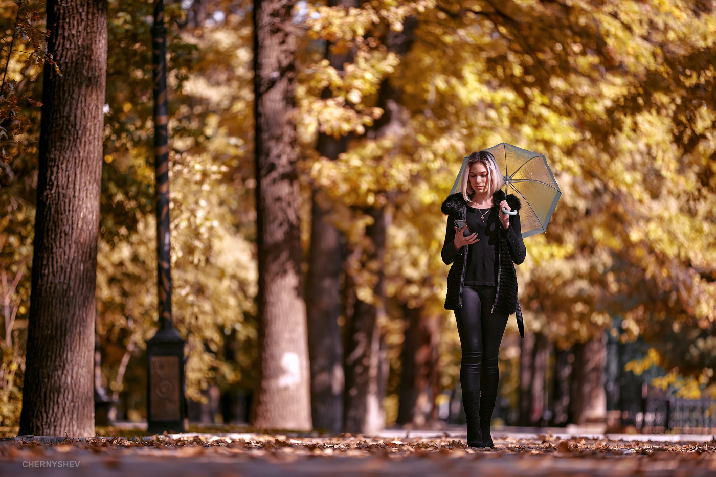 из альбома "логика листьев".