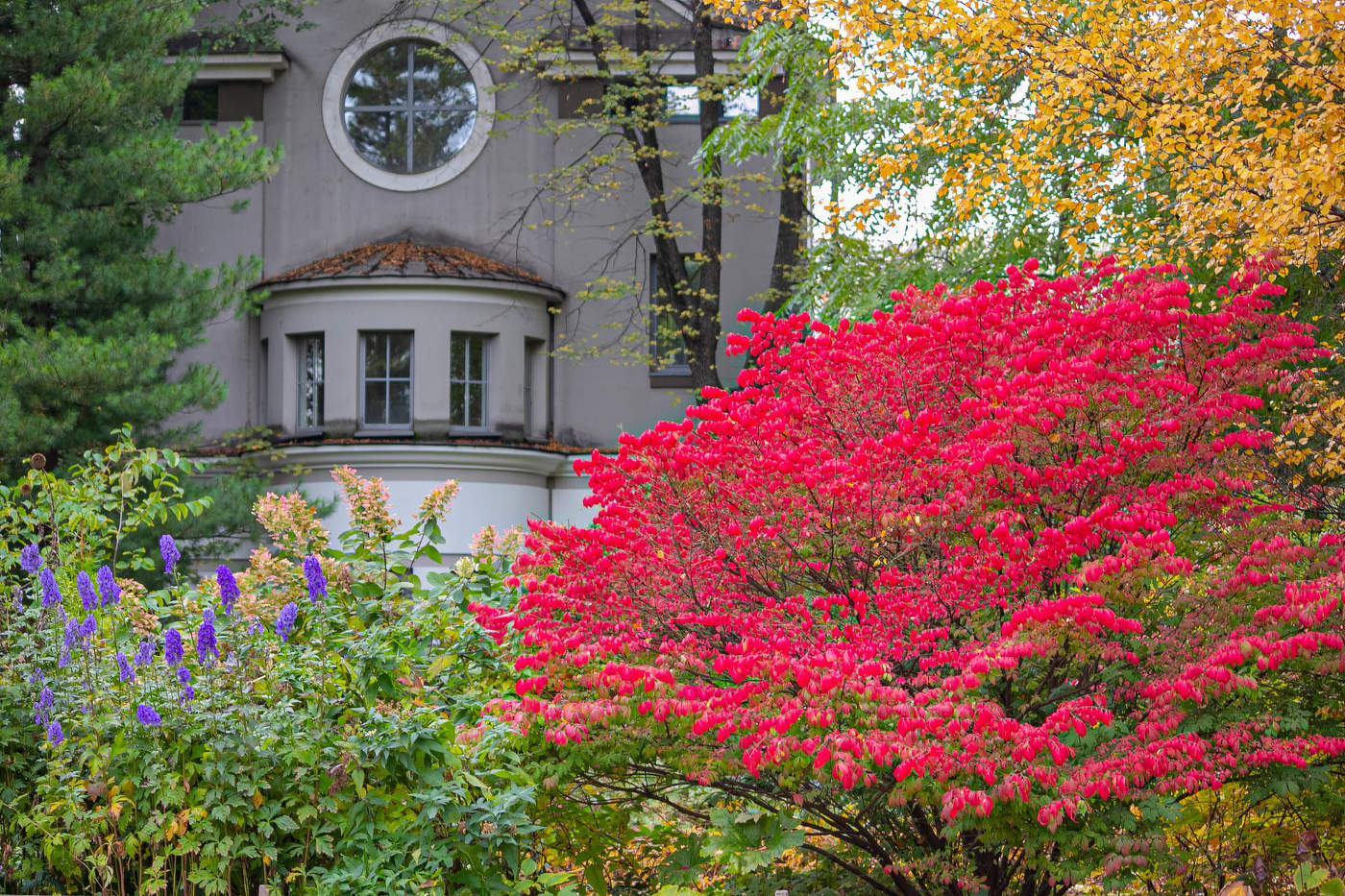 В Аптекарском огороде