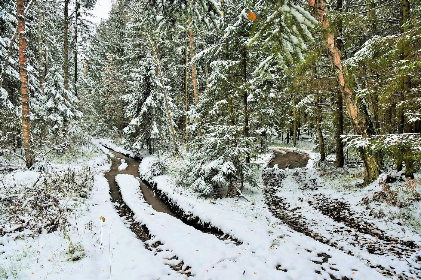"Первый снег, как испуганный заяц, белой шкуркой ютится у ног..."