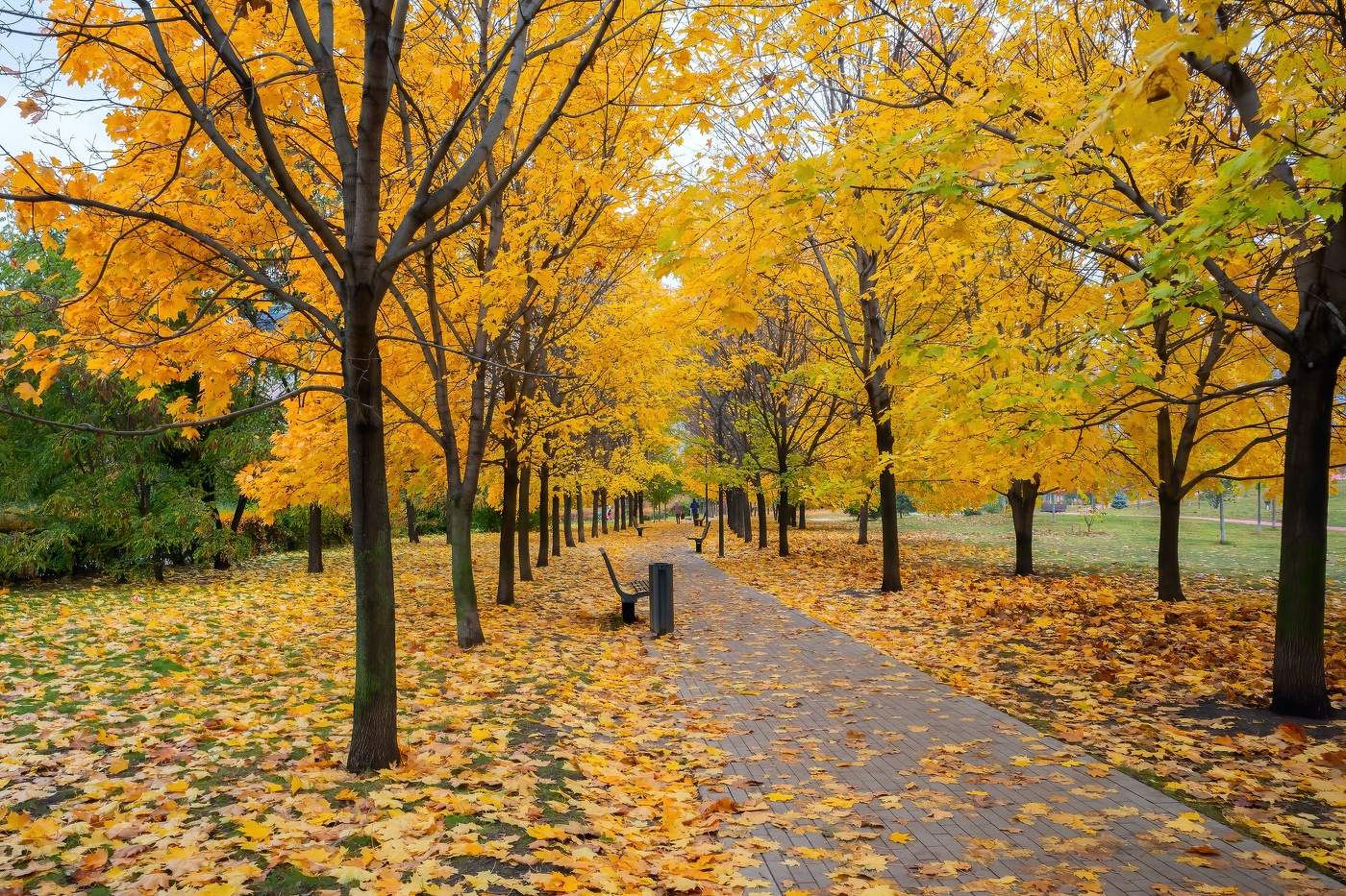 Осенние виды