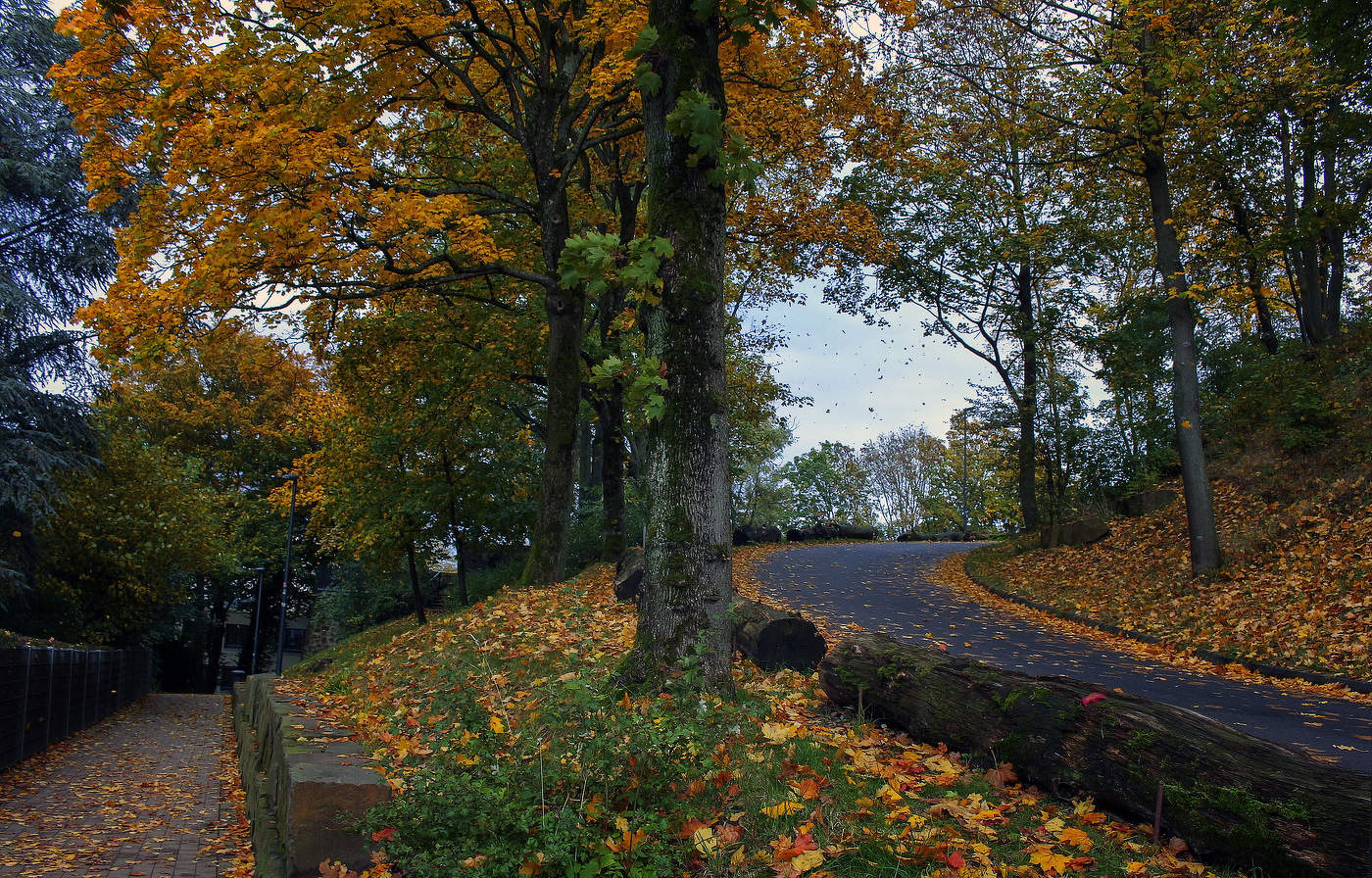 Осень в парке