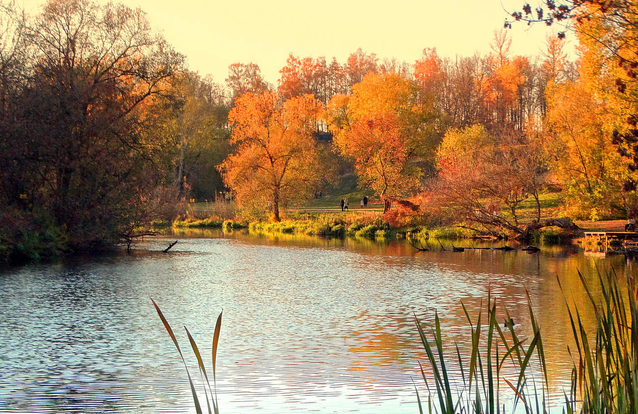 Октябрьские осенние краски