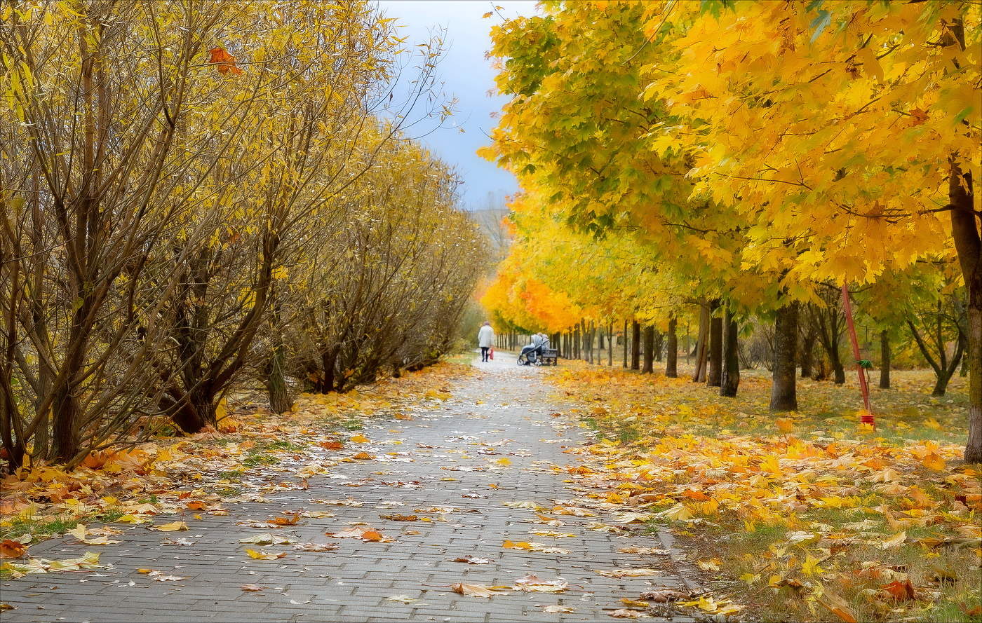 ОСЕНЬ ЖИЗНИ