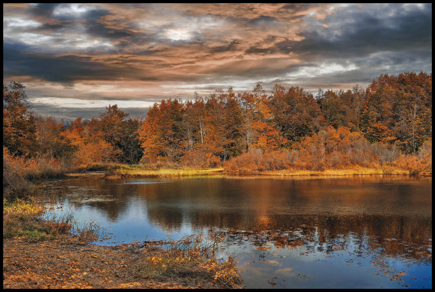 Осенние зарисовки
