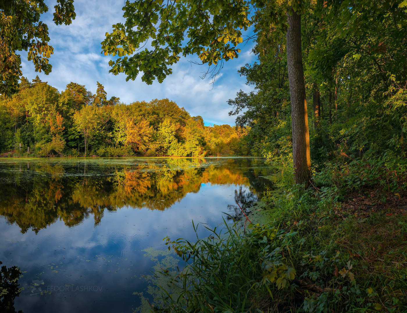 Тихий вечер