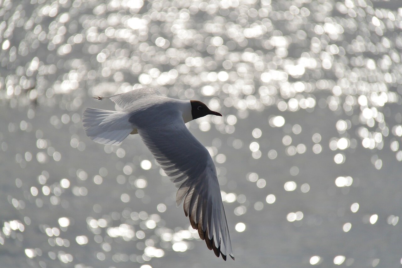 Над Байкалом