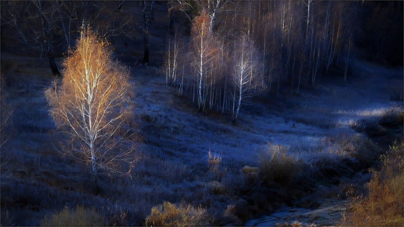 Уж иней серебрит траву, уходит осень не спеша...