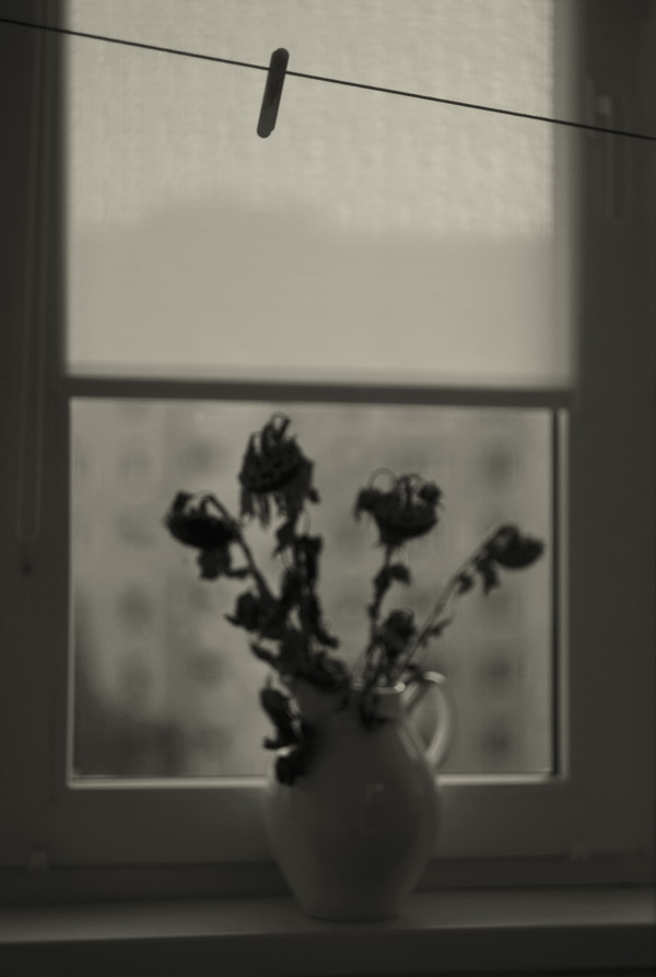 прищепочка