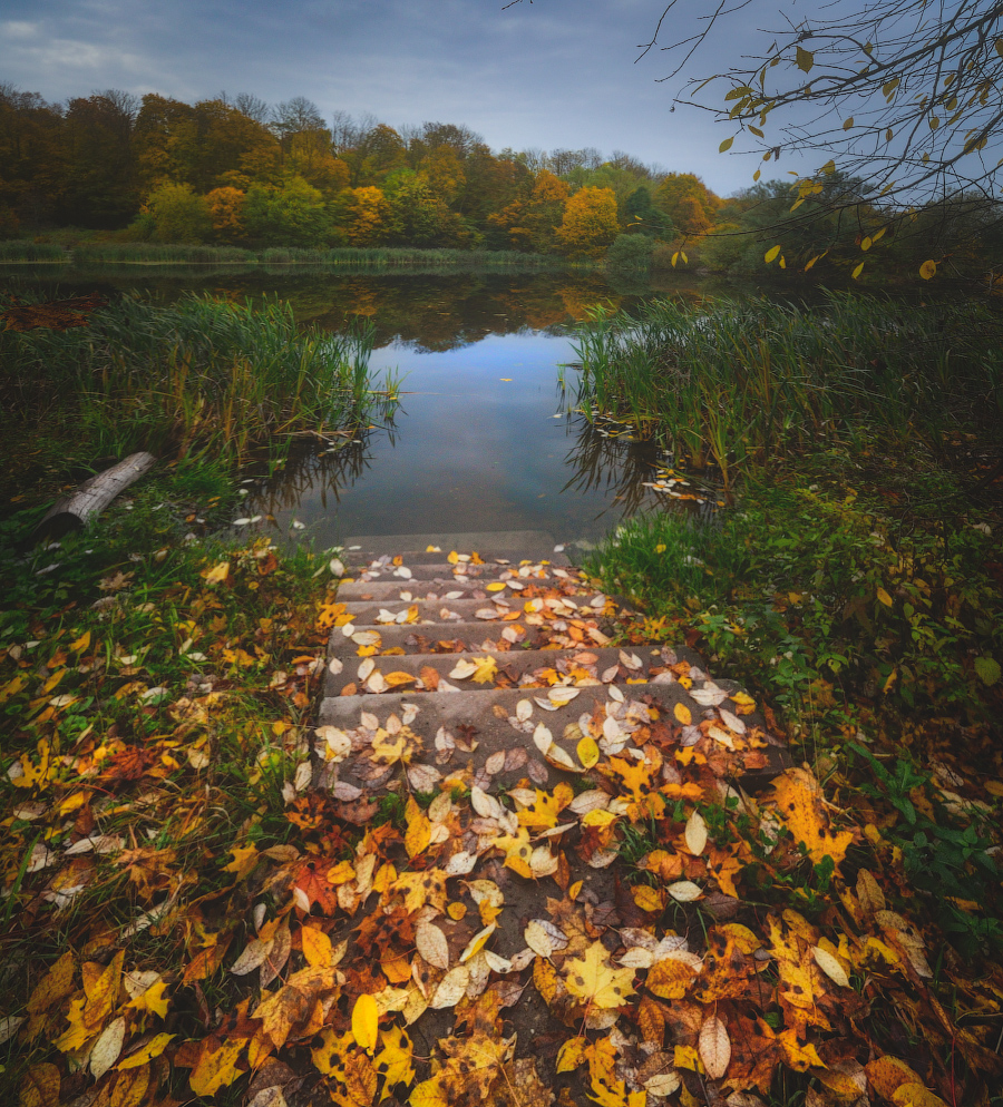 Осенний этюд