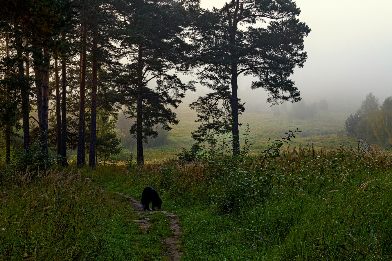 На рассвете