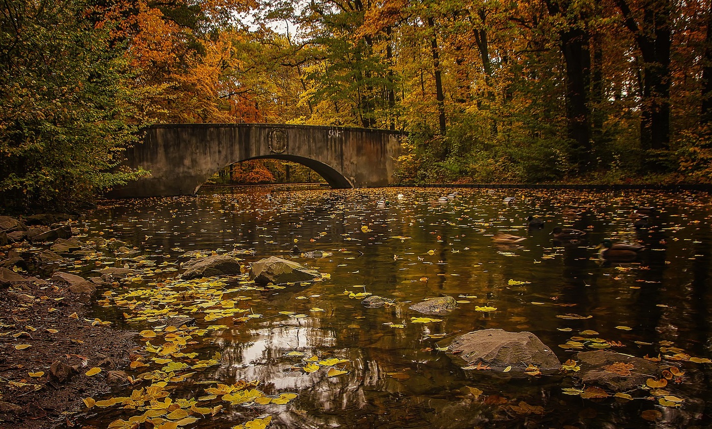 Осенний мостик