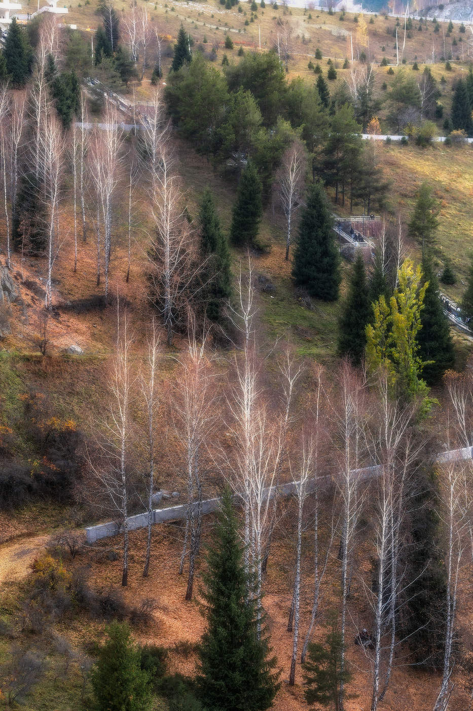 Осенние танцы...