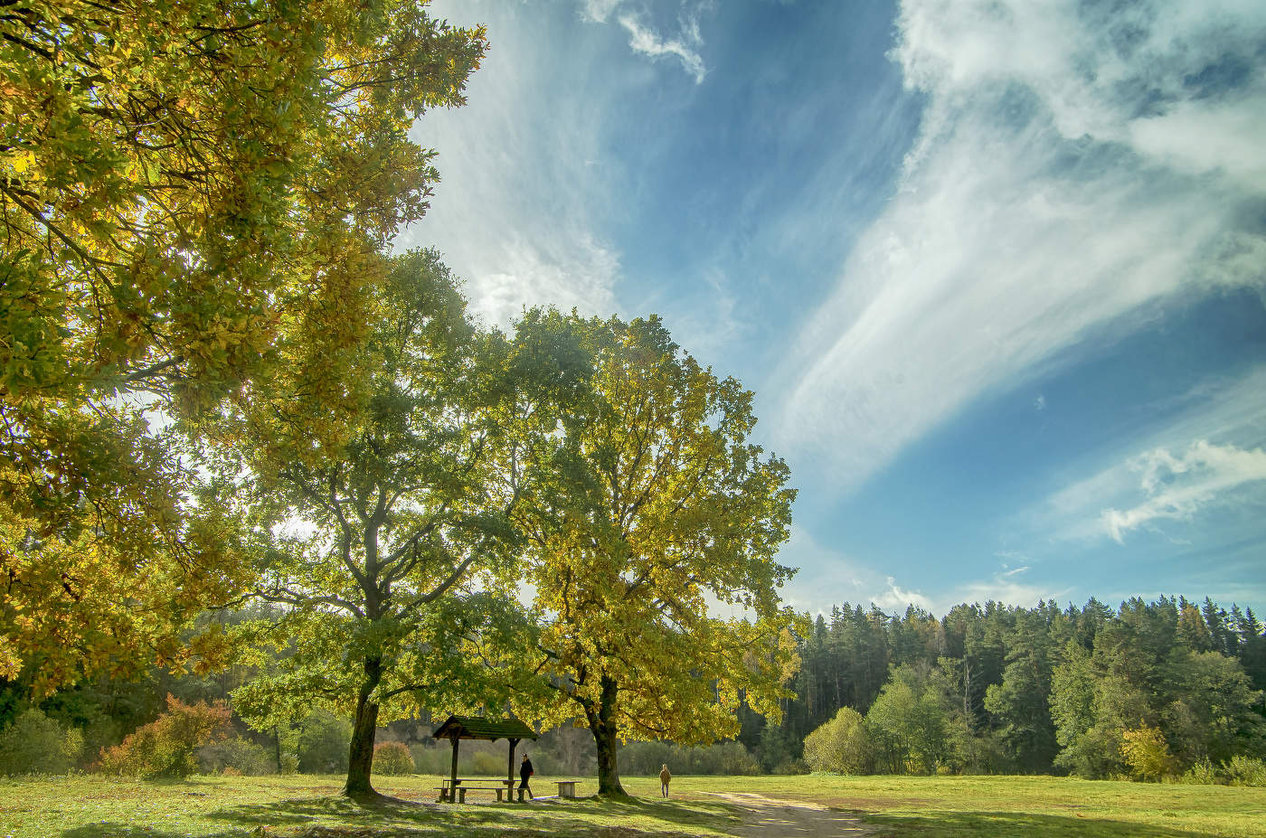 An einem sonnigen Tag