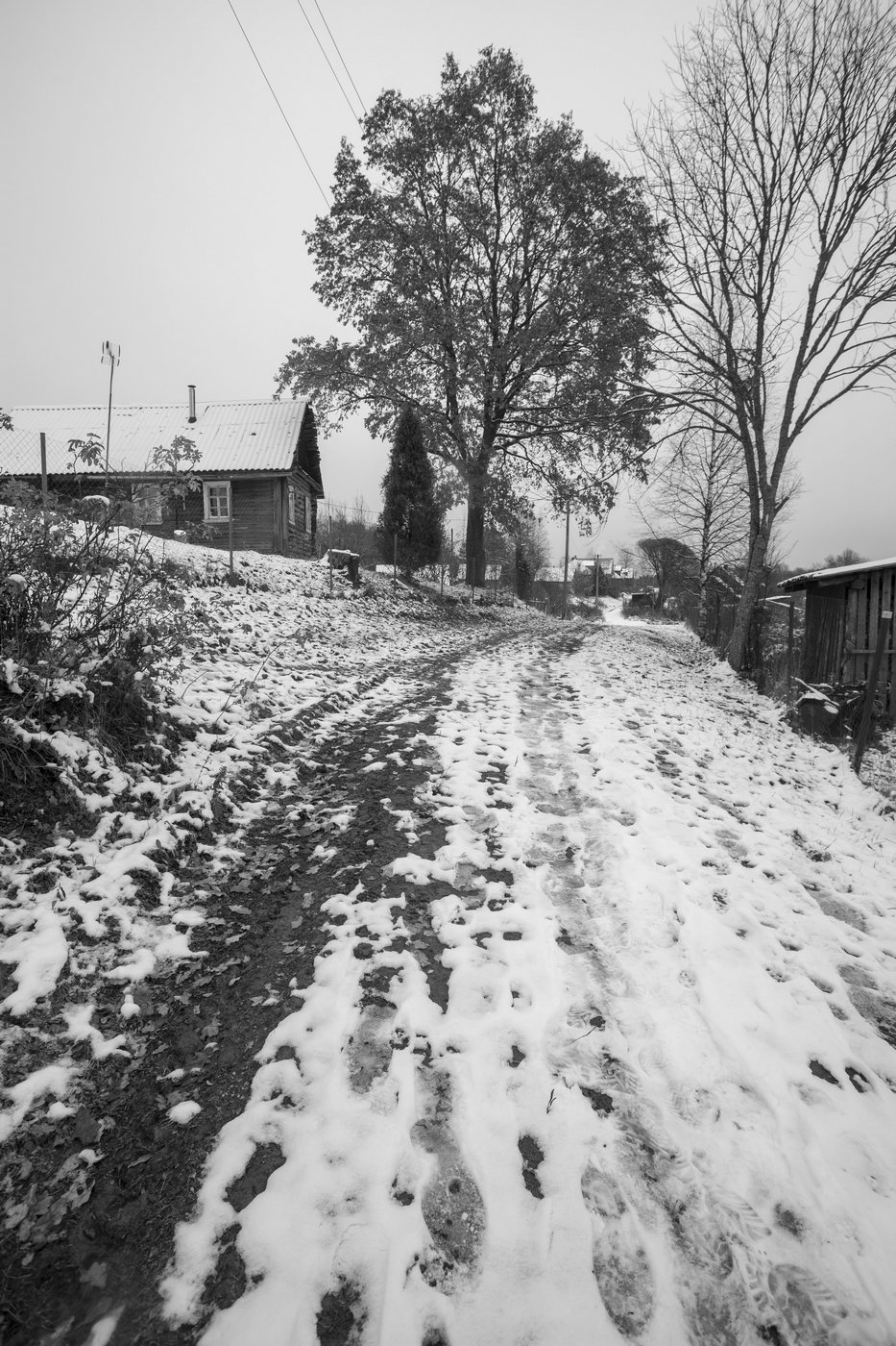 Жизнь вокруг