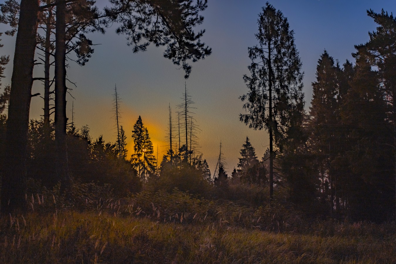 УТРО РАННЕЕ