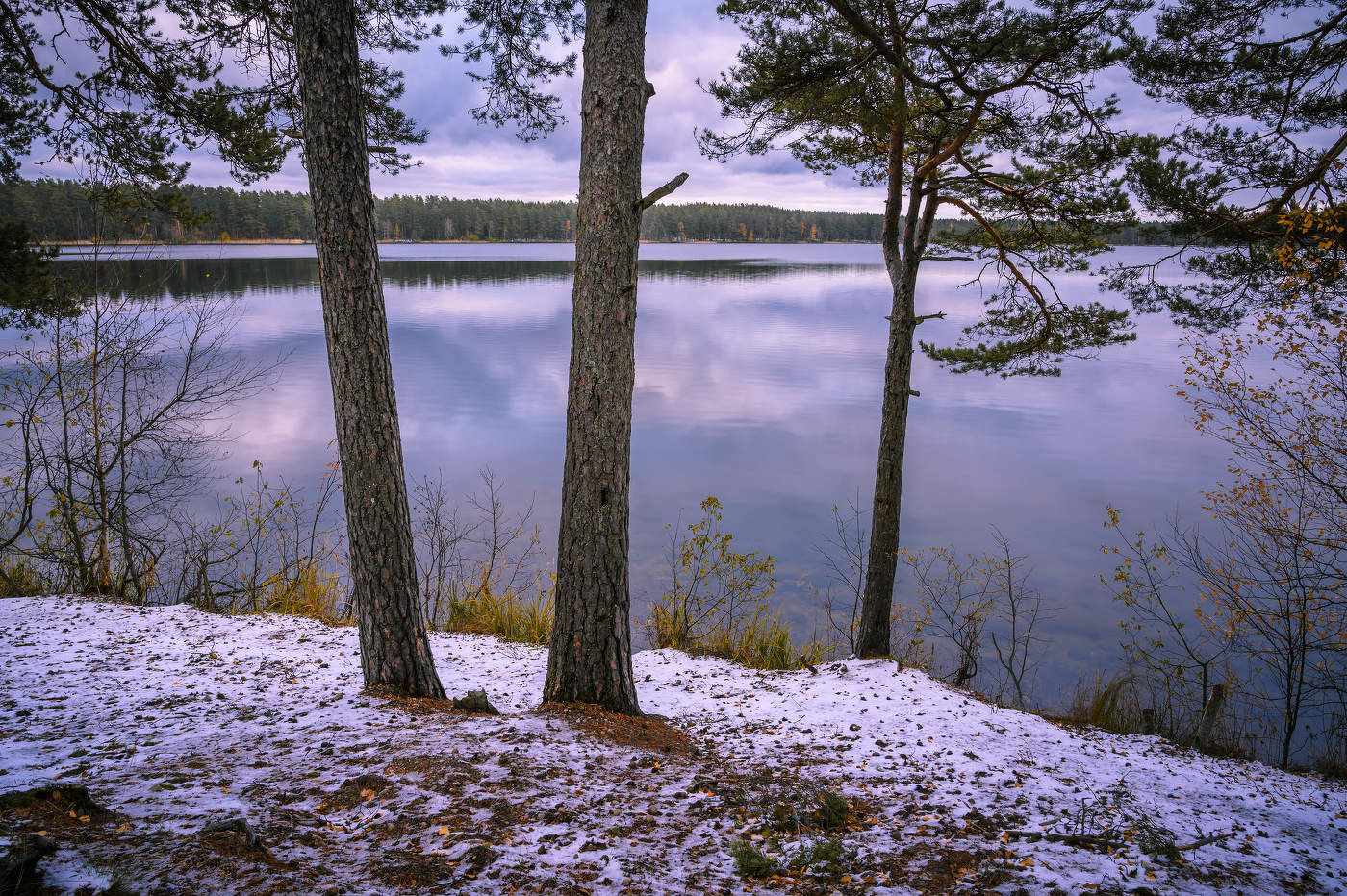 Октябрьское утро на Круглом.