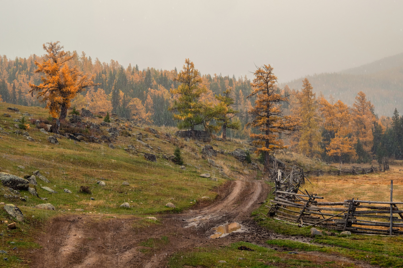 Эх, дороги... Пыль да туман, Холода, тревоги Да степной бурьян...