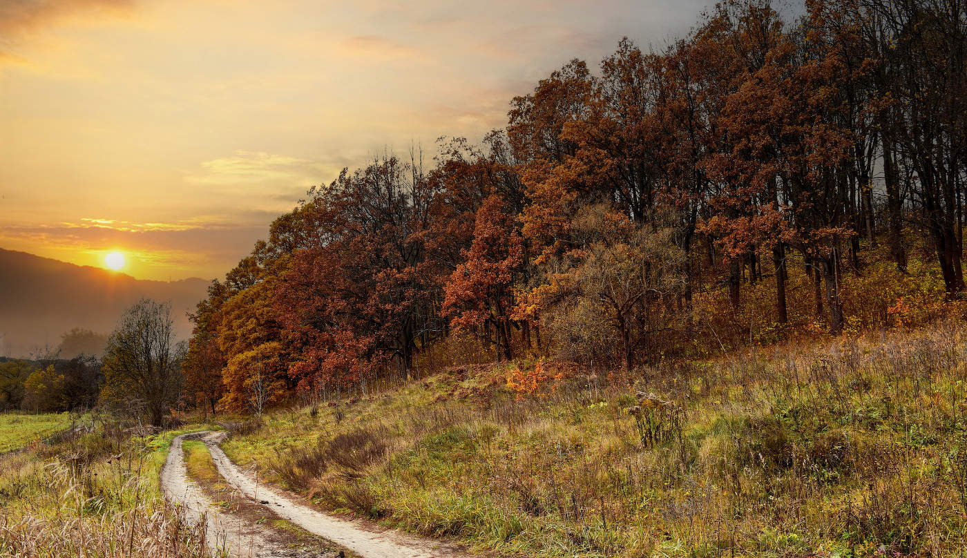 Осенняя лирика.