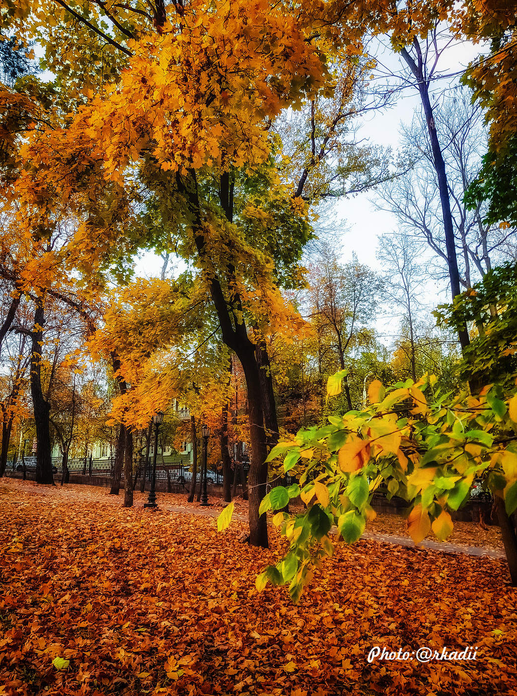 Осень выкрасила город...