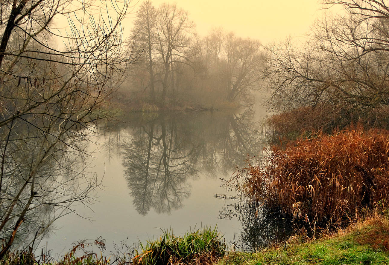 Природа встречает ноябрь туманом