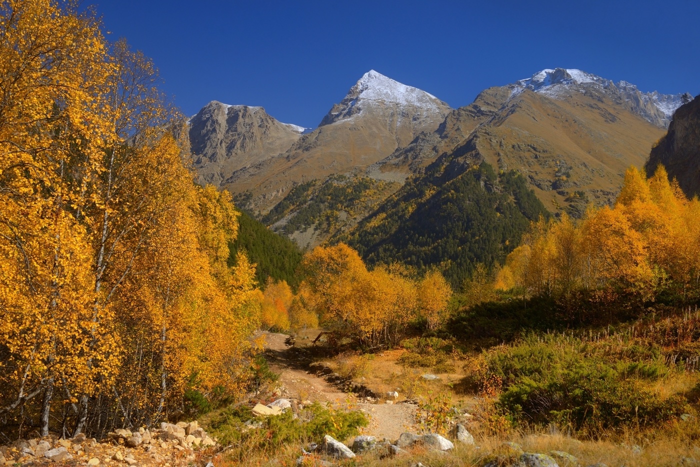 Осенний наряд