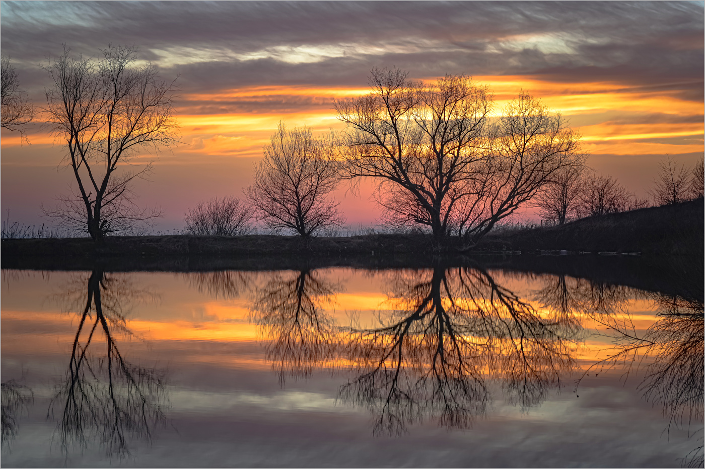 Вечерние узоры