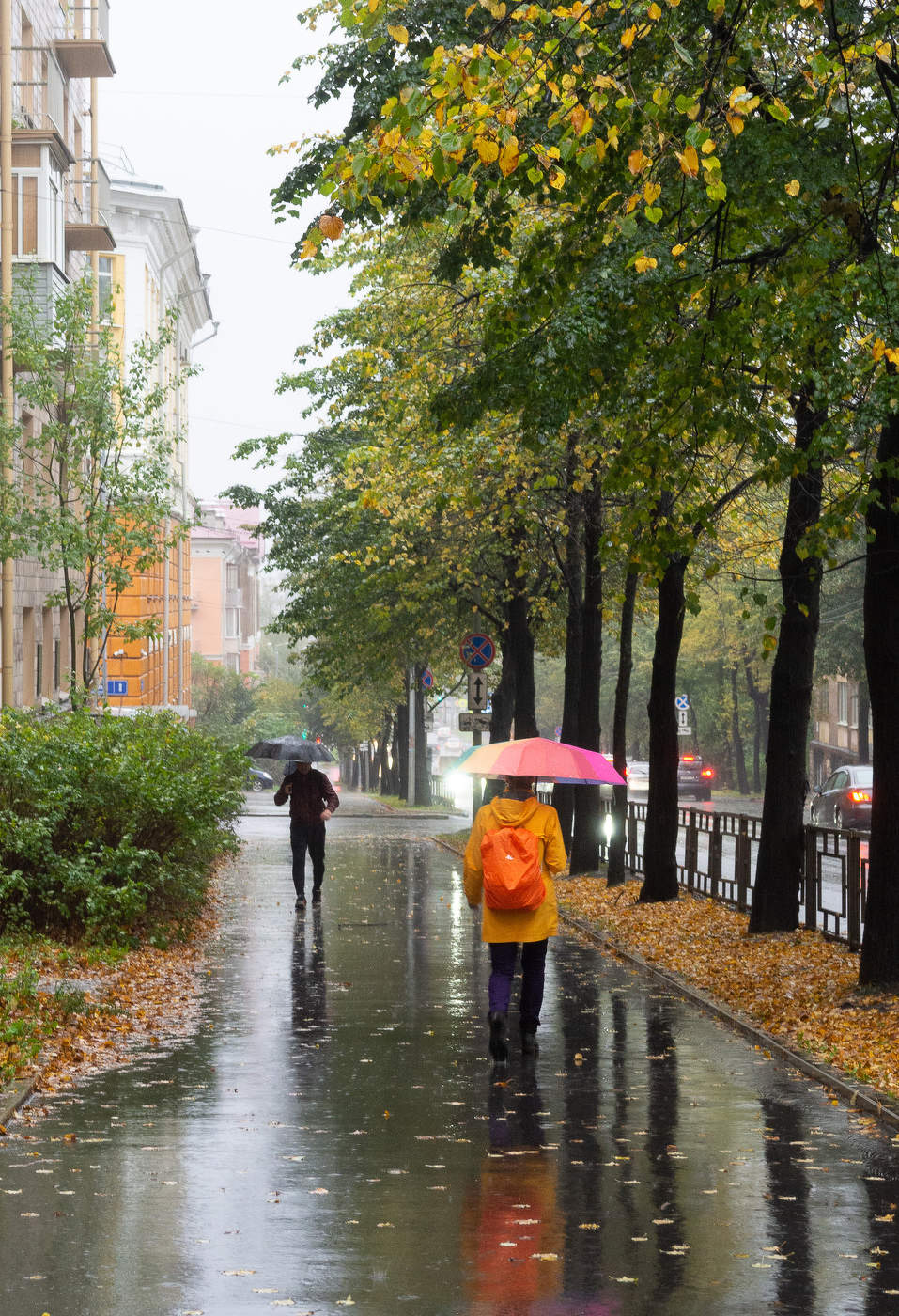 Осень - она не спросит