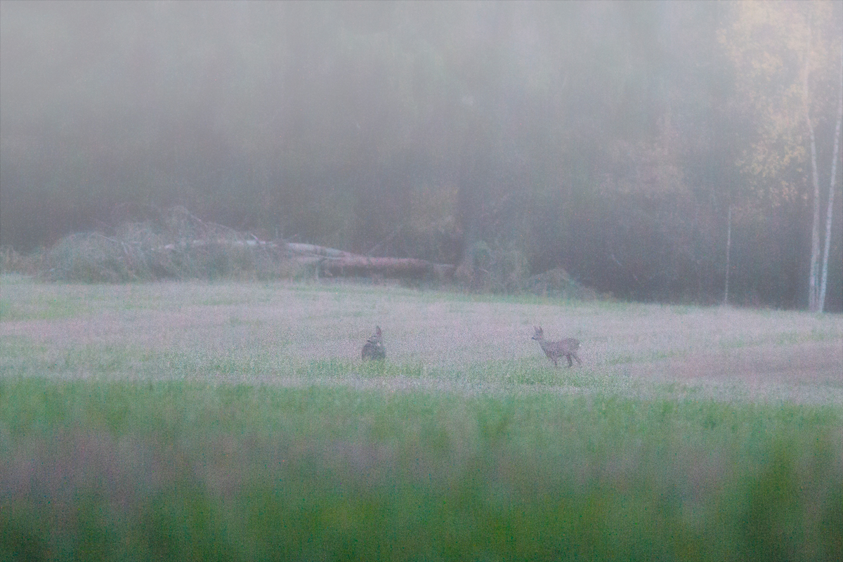 Не туда смотрите )