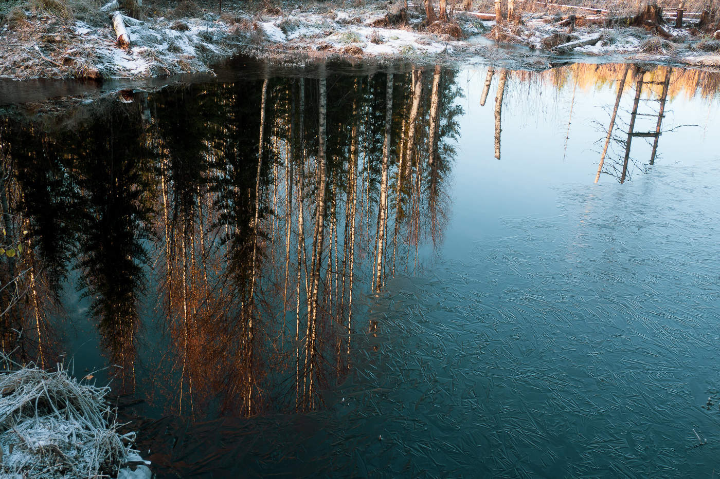 Осень для вдохновения 1