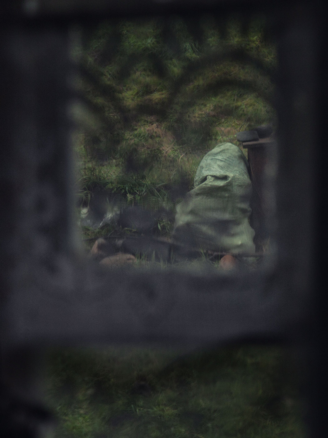 Жизнь вокруг