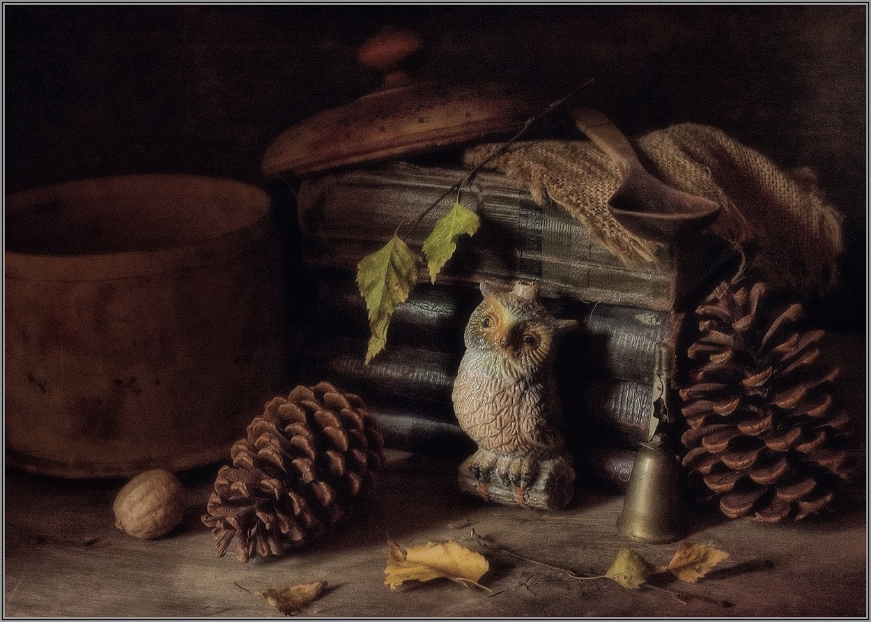 .... Мудрость .....