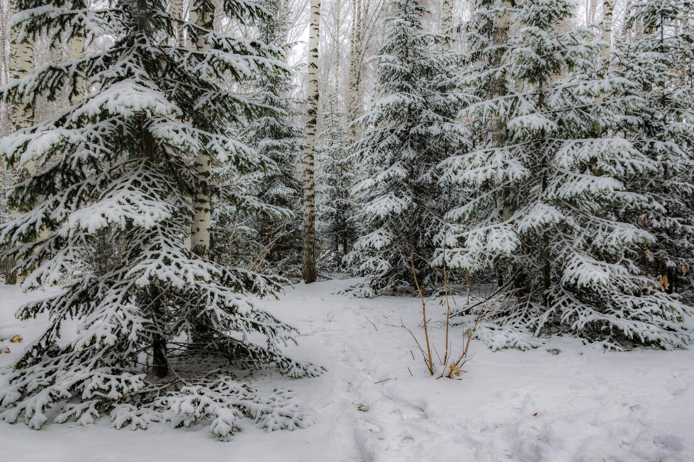 Ноябрь. Начало...