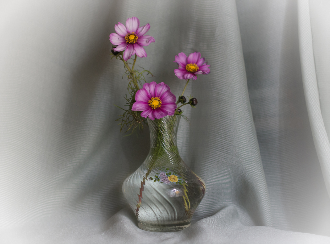 В их нежных ликах столько теплоты...