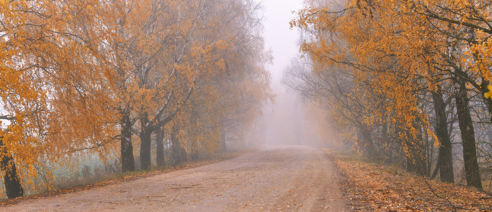 Золотая осень