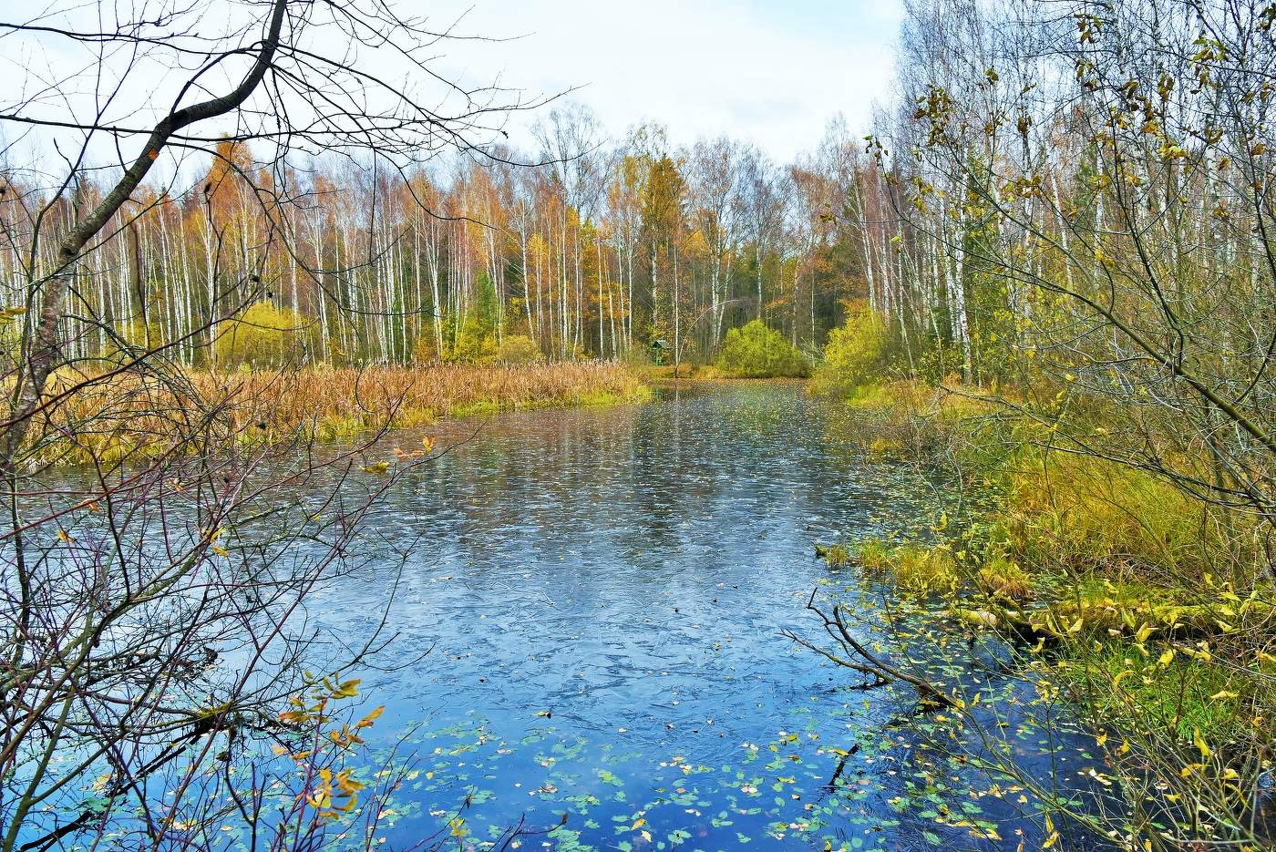 В последних числах октября ...
