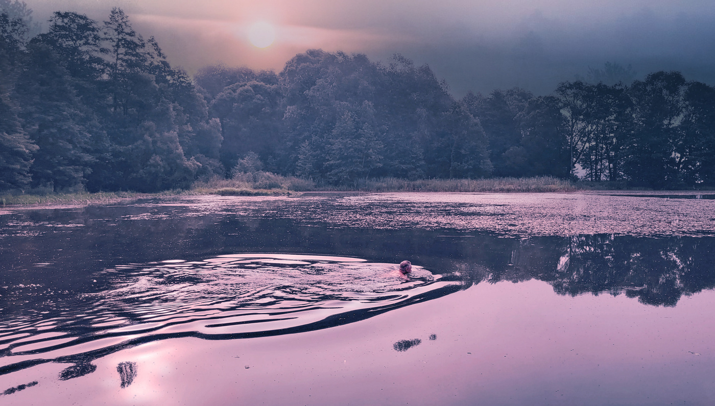 В сиреневом тумане.