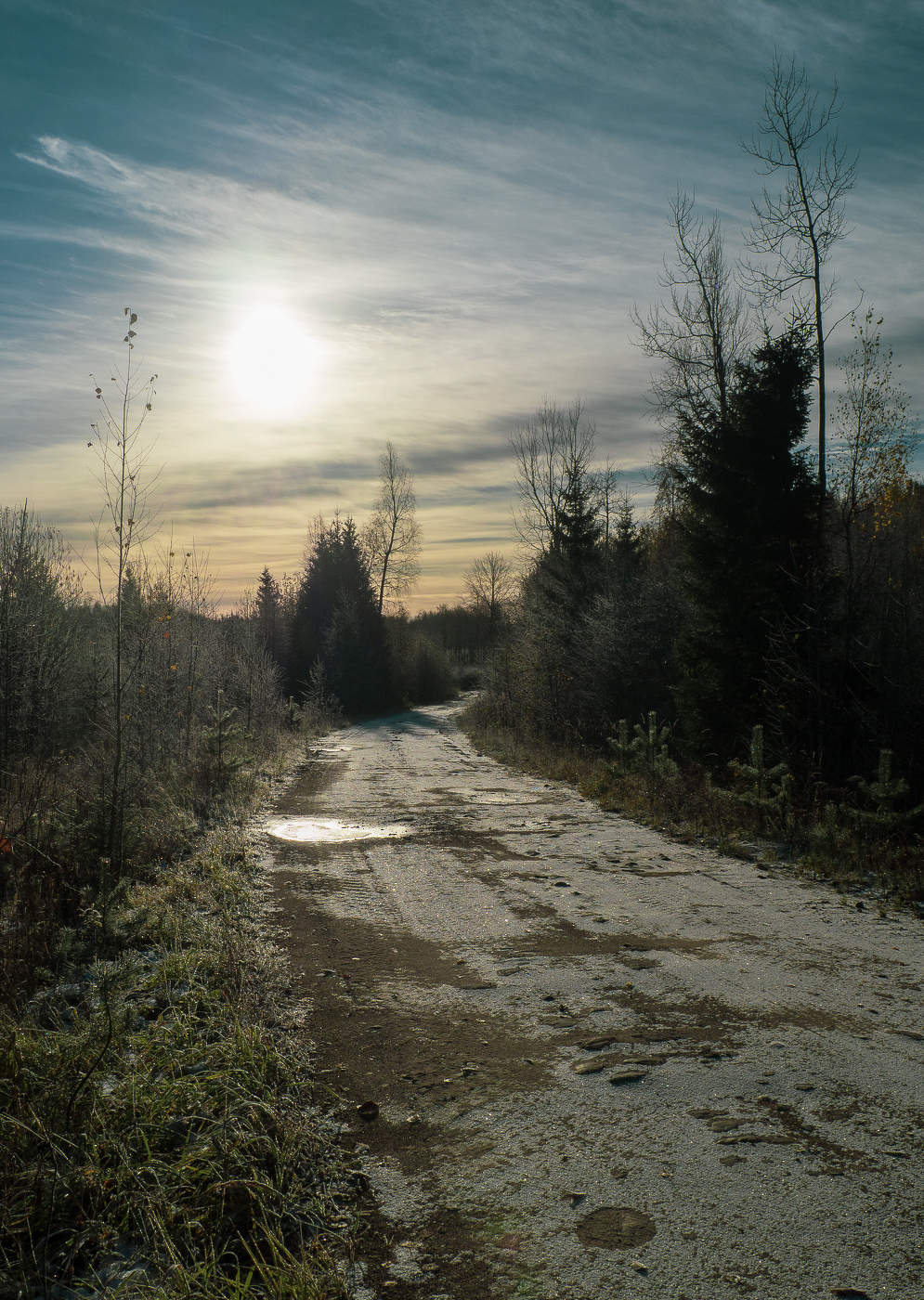 Осень для вдохновения 3