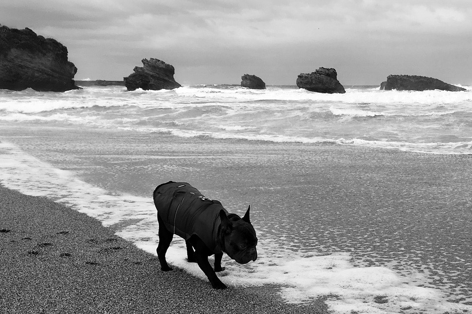 5+1. Про ритм