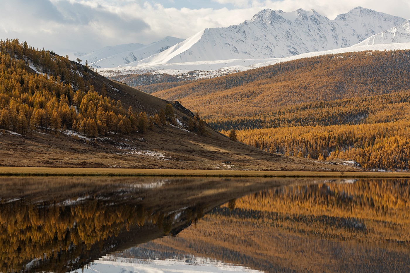 Сектор осени
