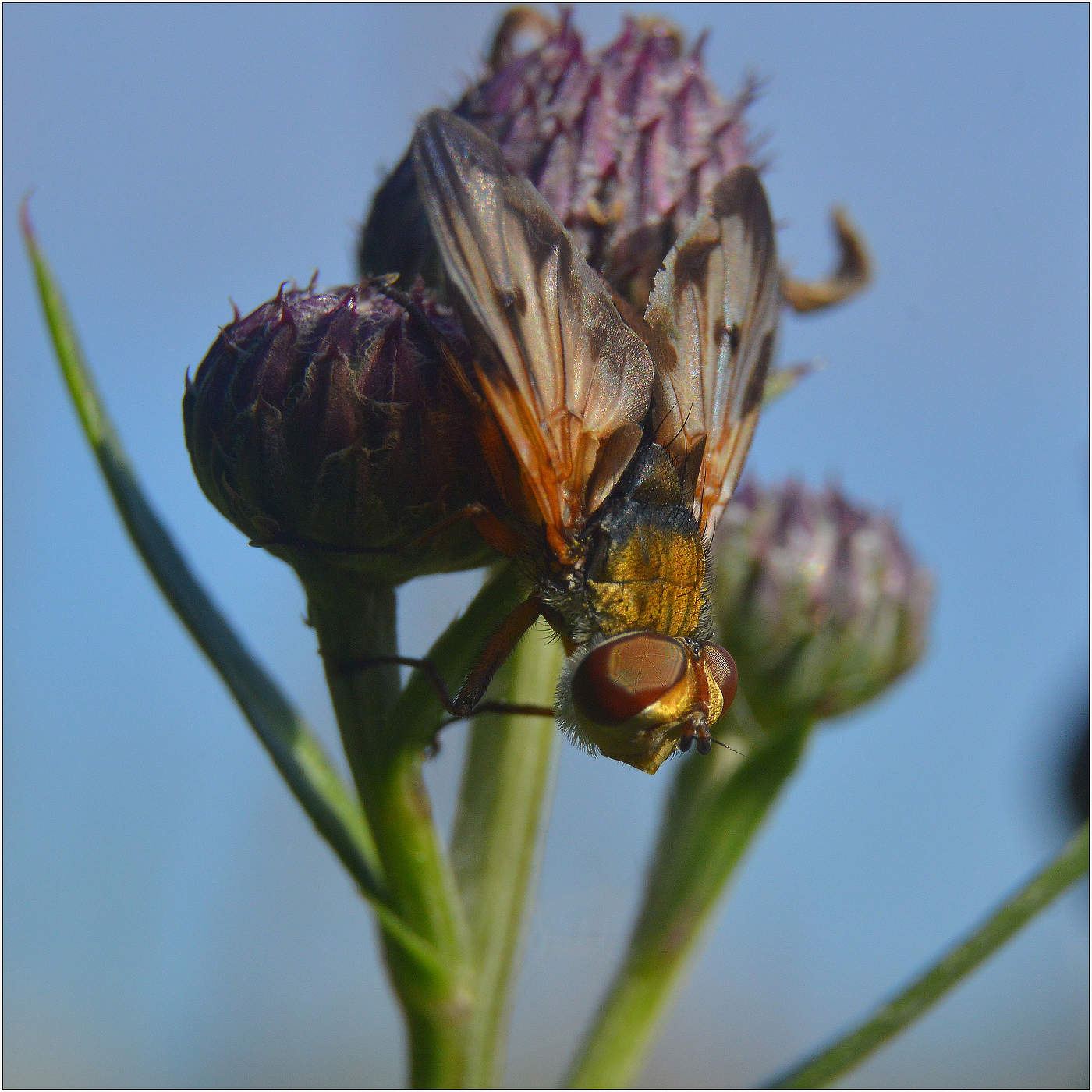 Интересно то как...