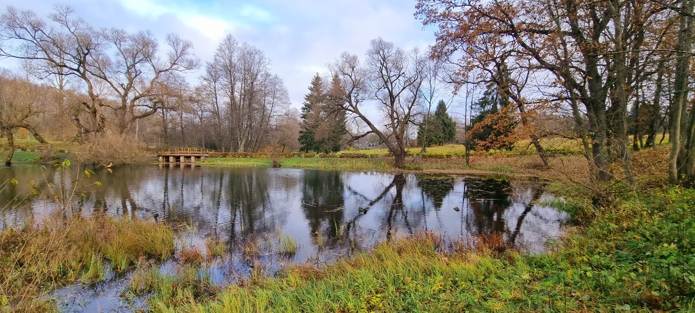 Осенние узоры...