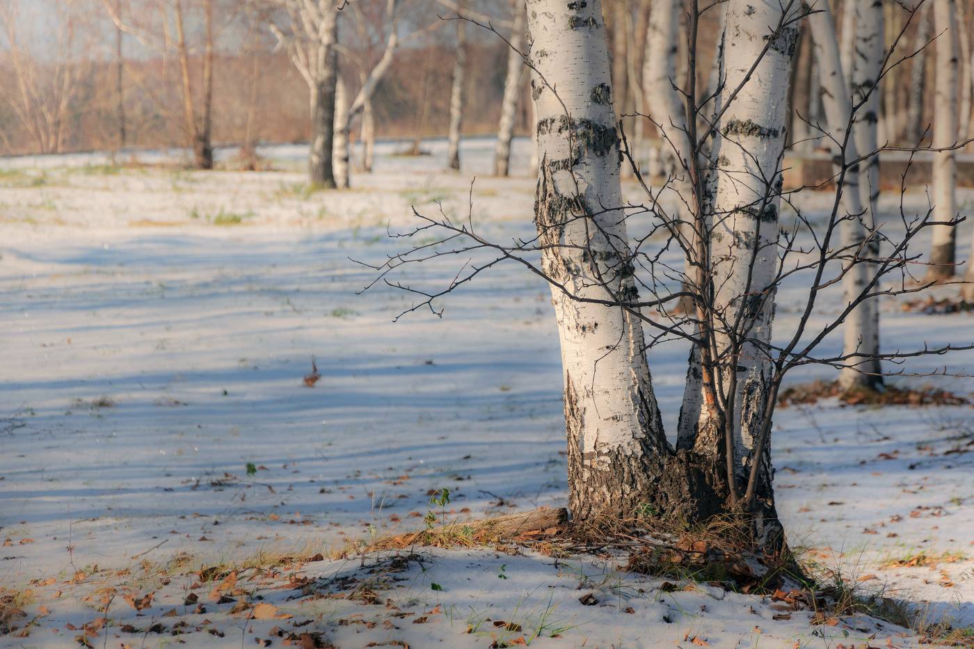 Октябрь, конец...