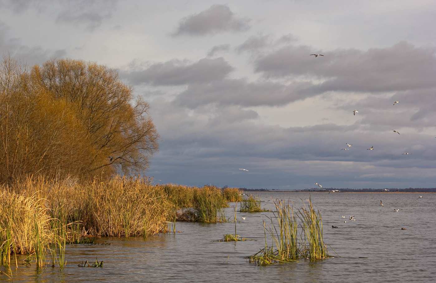 Солнечный ноябрьский день