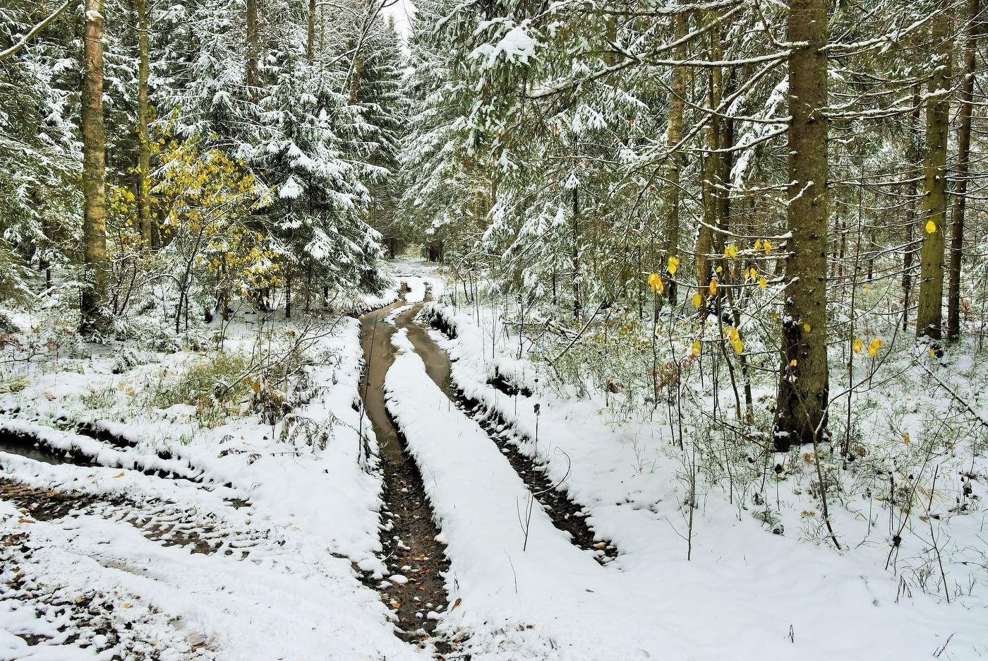 "Первый снег, что пошел в ноябре ..."