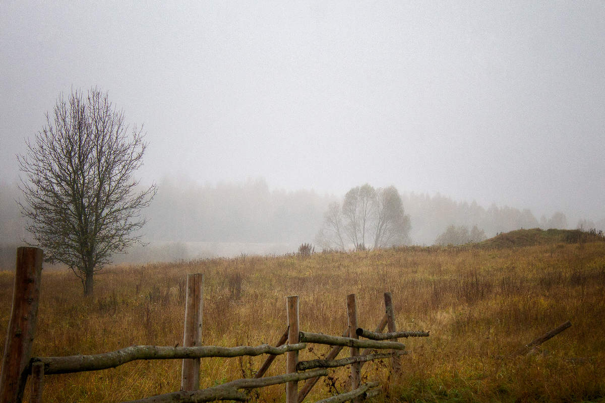 Октябрьский этюд