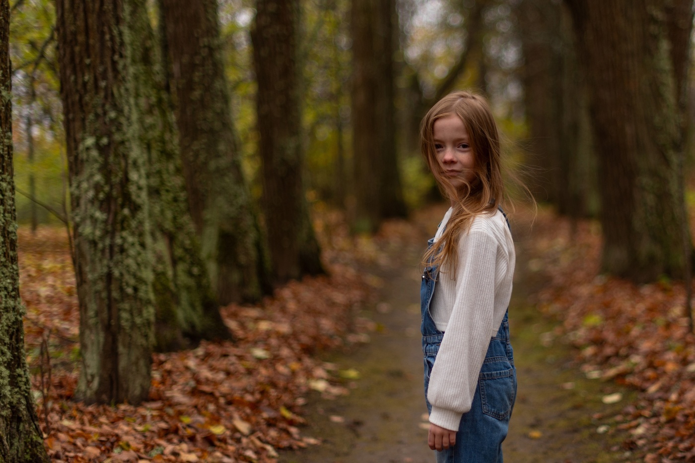 Осень в усадьбе